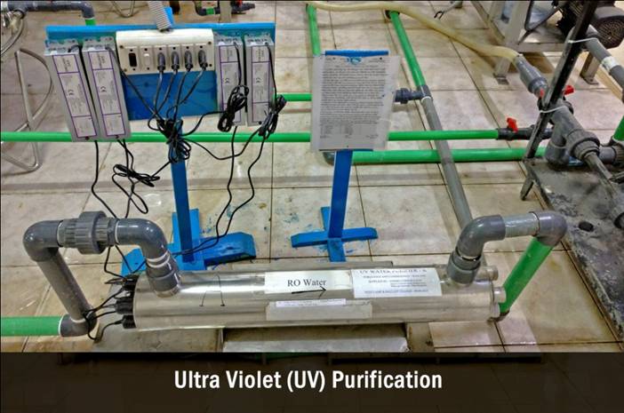 (UV)